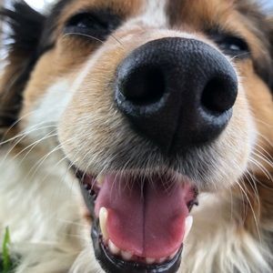 Meet your Posher, Elise